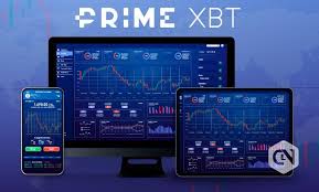 All You Need to Know about PrimeXBT Contacts All You Need to Know about PrimeXBT Contacts